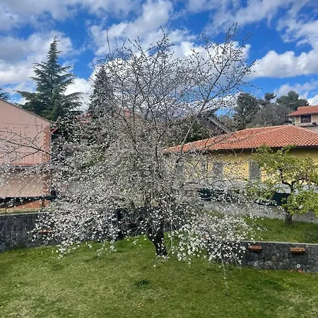 Etna Sotto Il Ciliegio *